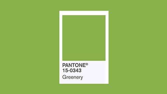 Celebrate Pantone’s 2017 Color of the Year